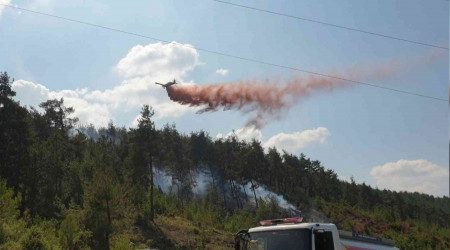 Bursa'da orman yangını kontrol altında