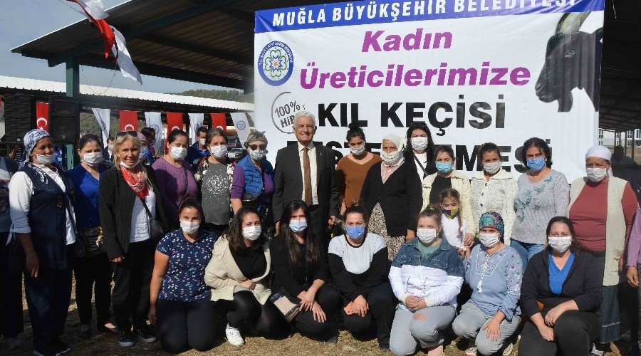 Büyükşehir Ortaca'da kıl keçisi dağıttı