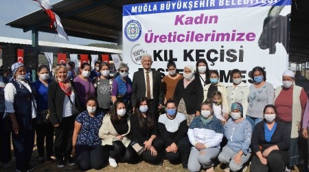 Büyükşehir Ortaca'da kıl keçisi dağıttı