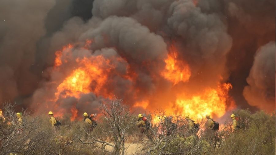 California'da orman yangınları sürüyor