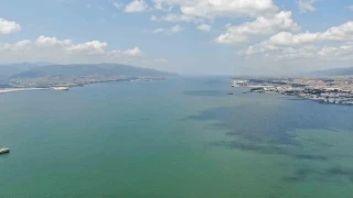Caretta caretta rotayı öyle bir şaşırdı ki...