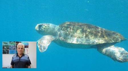 "Caretta srma vakalar bir hafta iinde sona erer"