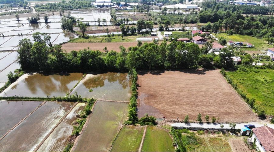 �eltik �retiminde, T�rkiye bu sisteme ge�iyor