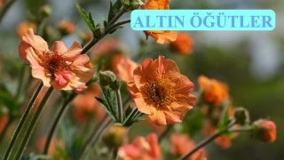 Cennete giremeyecek üç sınıf