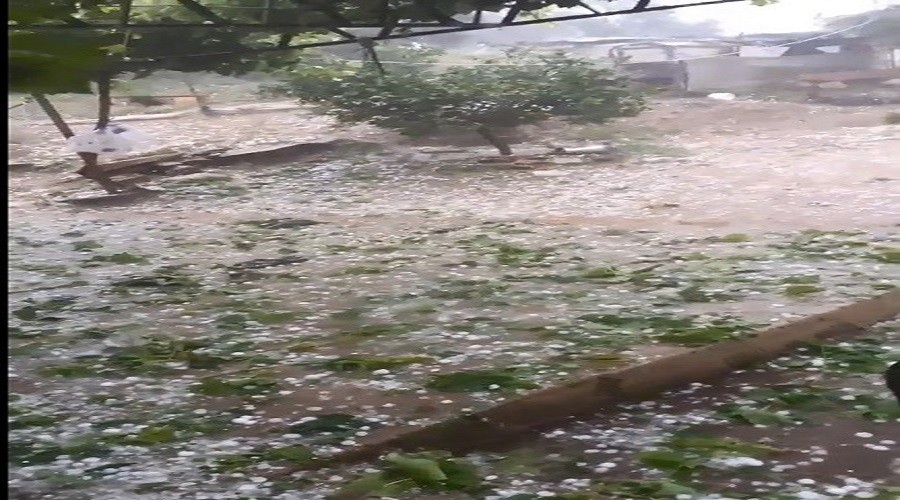 Ceviz b�y�kl���nde dolu ya�d�