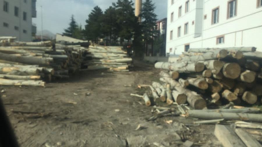 Çocuk Bayramı'nda üzerine ağaç düşen çocuk hayatını kaybetti