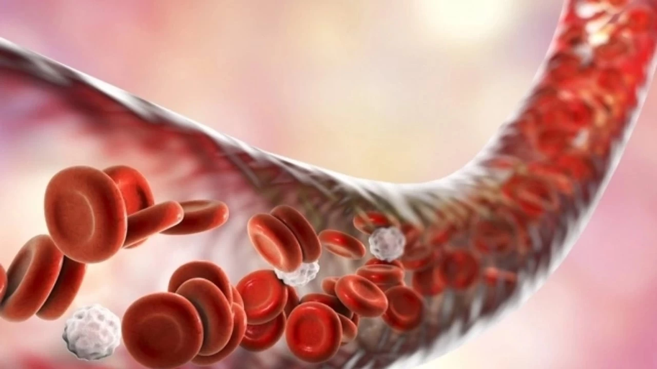 Damar t�kan�kl���n� �nlemenin yollar�