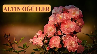 Dedikodu yapanların ağır akıbeti