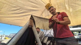Denizde balık patlaması bekleniyor