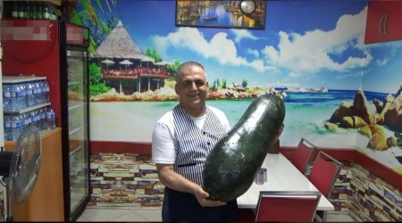 Dev gibi salatalıkta olur mu