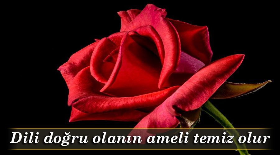 Dili doğru olanın ameli temiz olur