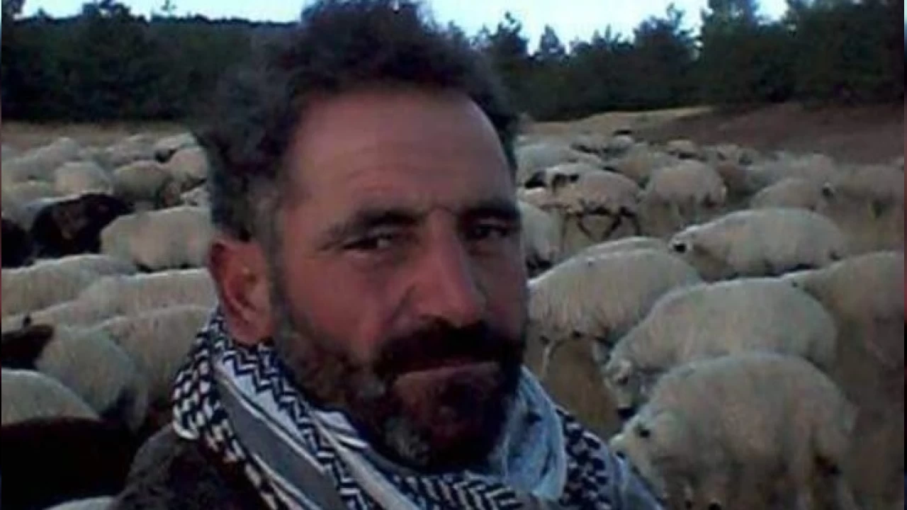 Diyarbak�r'da y�ld�r�m�n �arpt��� �oban hayat�n� kaybetti