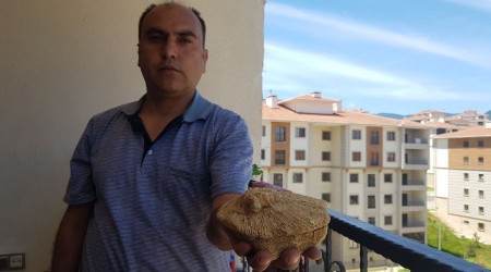 Doğa gezisinde bulduğu taş 45 milyon yıllık fosil çıktı
