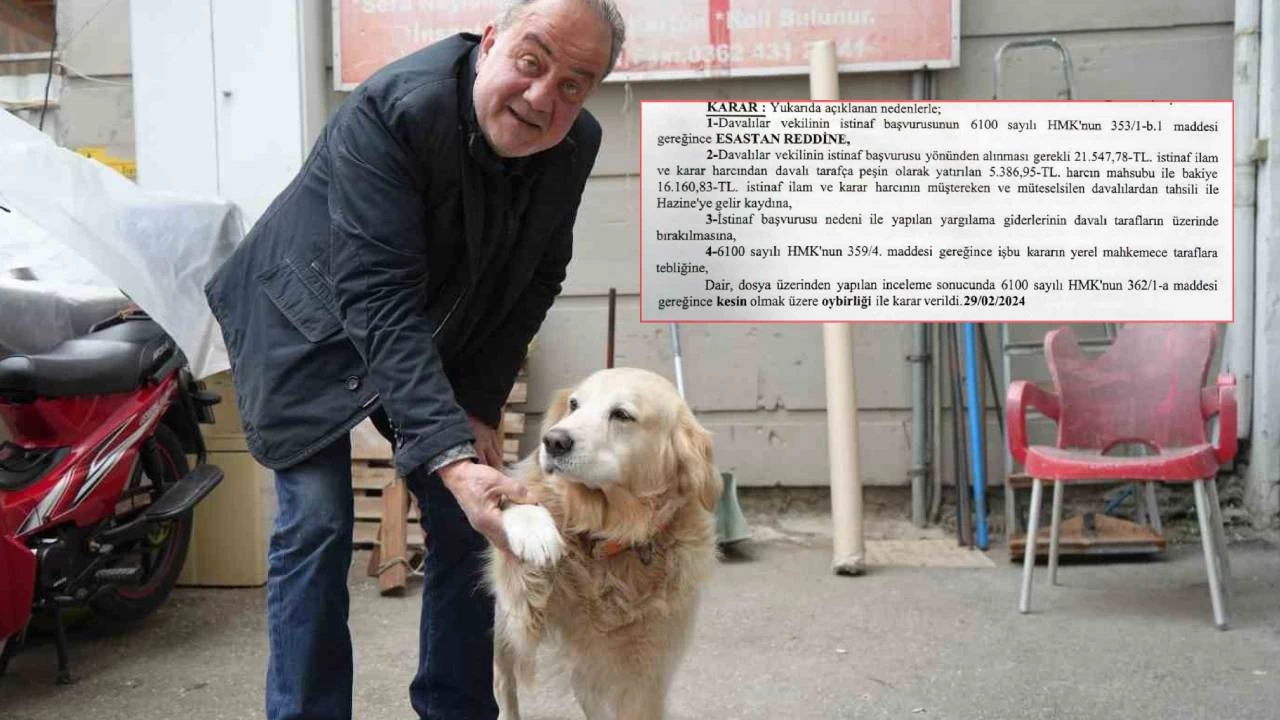 Doktora havlayan köpek, sahibine 700 bin lira fatura çıkardı!