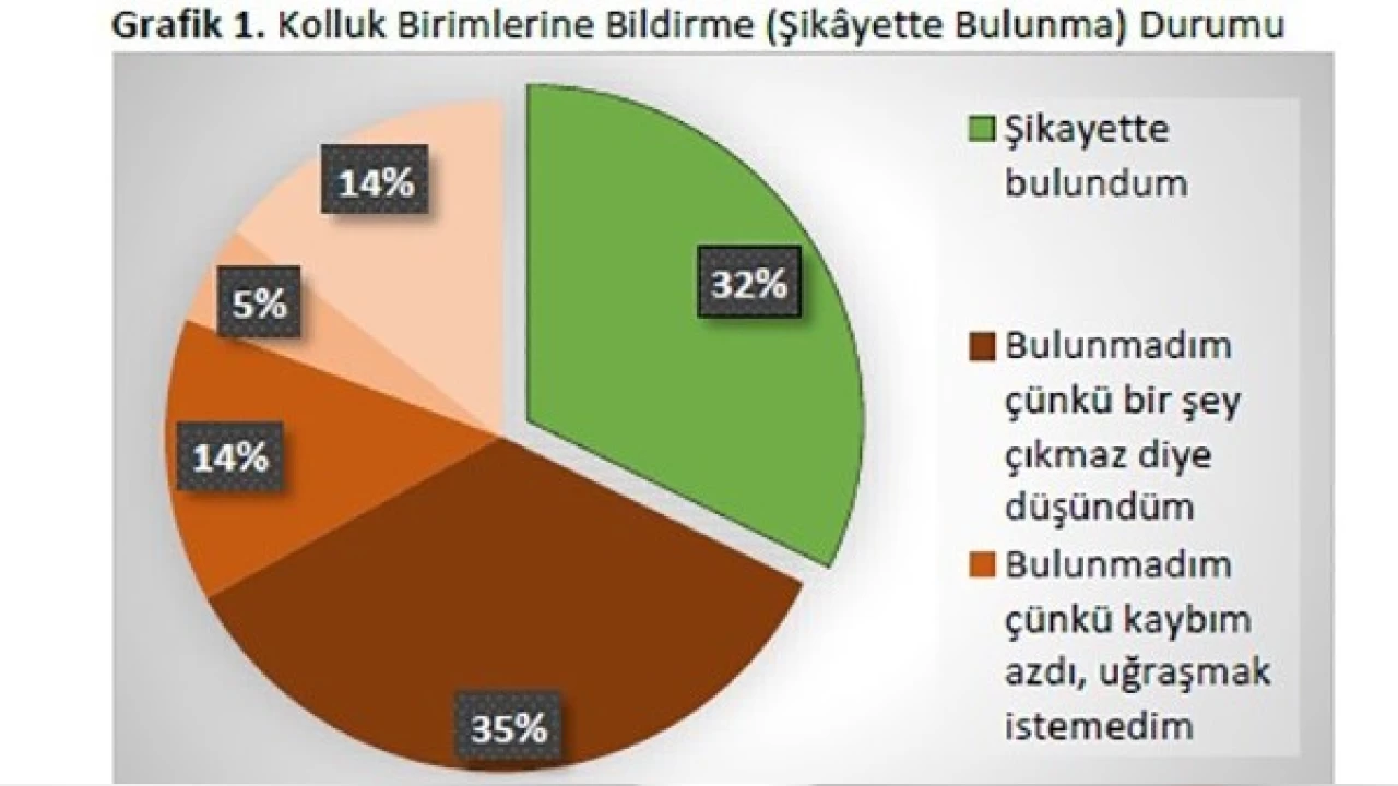 Doland�r�c�l�k ara�t�rmas�n�n �arp�c� bulgular� a��kland�