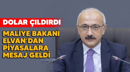 Dolar ldrd, Hazine ve Maliye Bakan'ndan piyasalara mesaj geldi