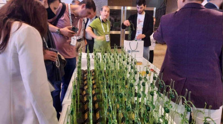 Dünya Fleboloji Kongresi başladı