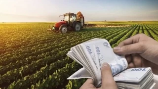 Dünyada gıda fiyatları düşerken Türkiye'de neden sürekli artıyor?