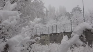 Dünyanın en soğuk ülkeleri Rusya ve Danimarka