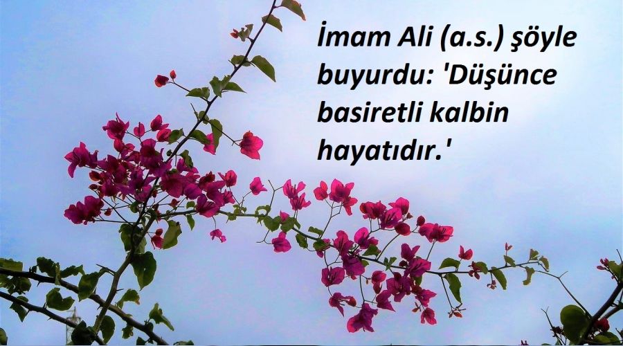 ‘Düşünce, basiretli kalbin hayatıdır’