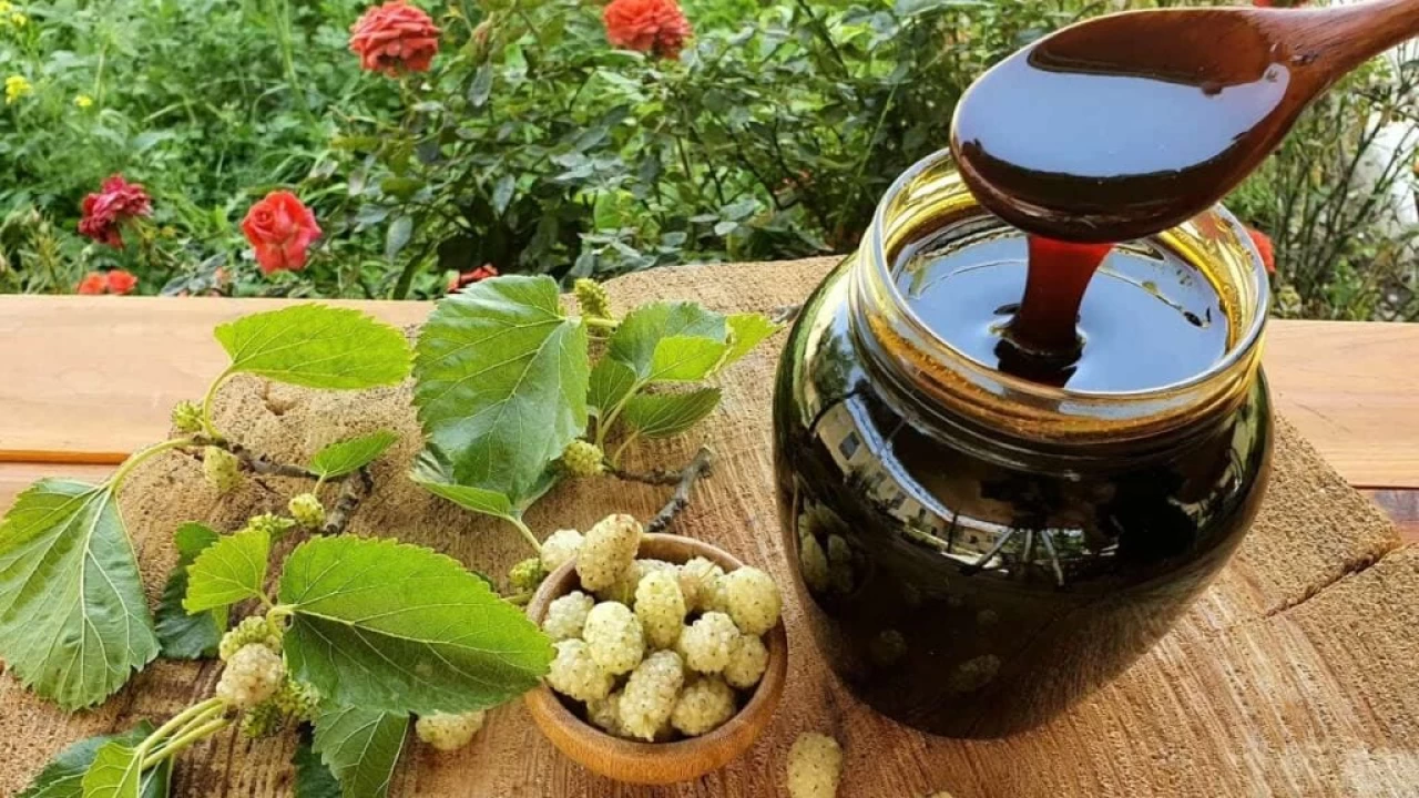 Dut Pekmezi: Do�an�n �ifal� hediyesi