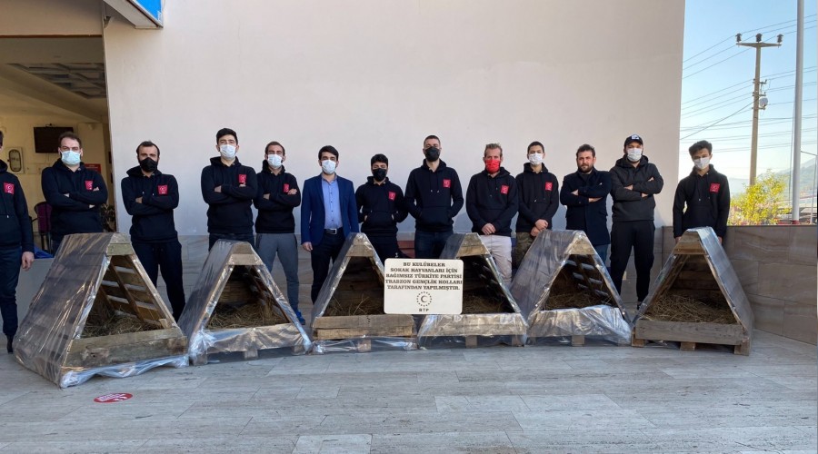 Duyarlı gençlerden sokak hayvanlarına barınak