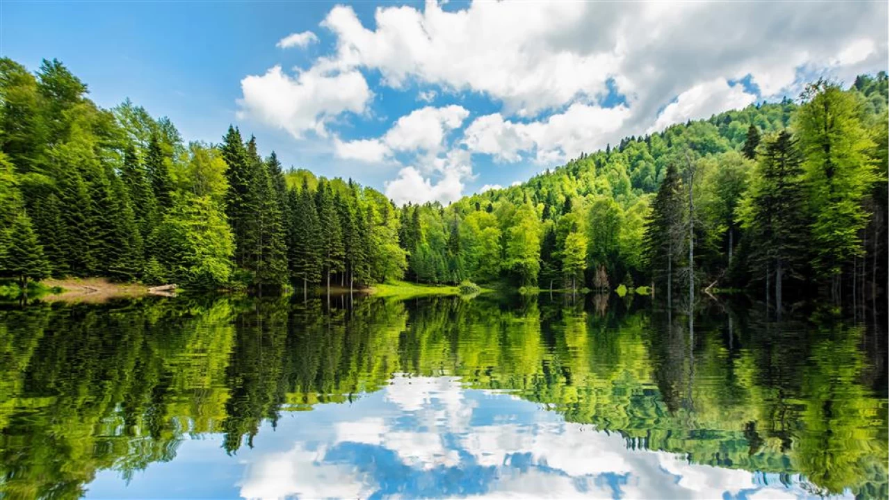 Dzce'nin sakl cenneti: Torkul Gl ve Yaylas 