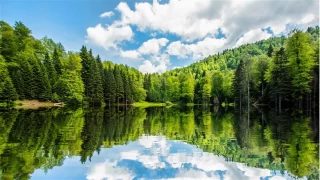 Dzce'nin sakl cenneti: Torkul Gl ve Yaylas 