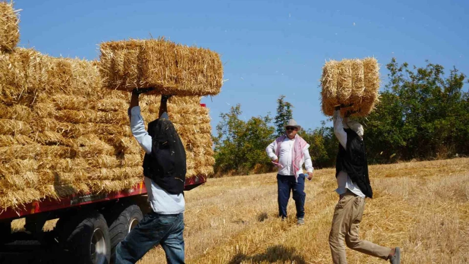 Edirne'de balya işçilerinin sıcak havada zorlu mesaisi