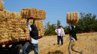 Edirne'de balya işçilerinin sıcak havada zorlu mesaisi