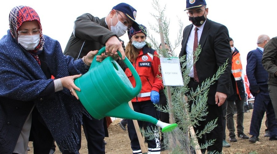 Elazığ'da 223 bin fidan toprakla buluşuyor