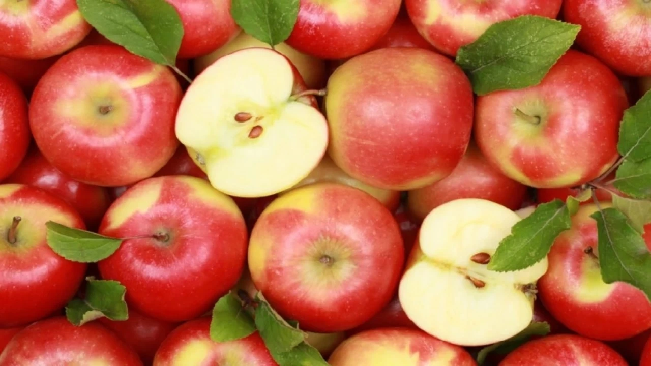 Elman�n �retimi artt�r�lmal�