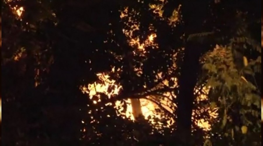 Emirgan Korusu�nu yakana jet iddianame 