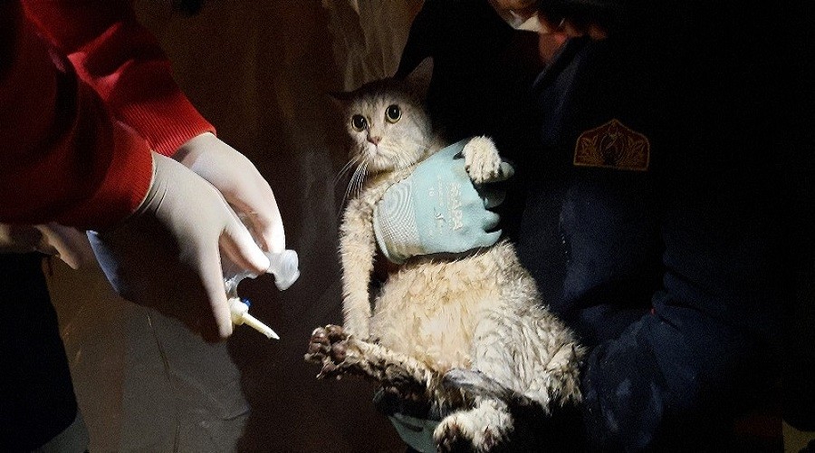 Emrah Apartman�'ndan 32 saat sonra ��kan ilk canl�