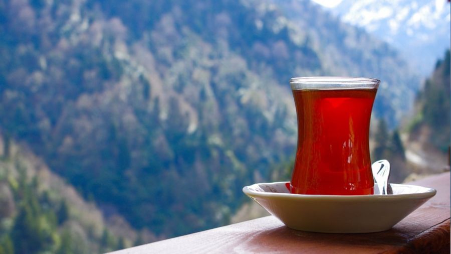 En çok tercih edilen Rize otel türleri