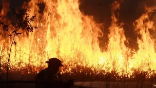 Endonezya'da orman yangını yerleşim yerlerine yayıldı: 305 ev kül oldu