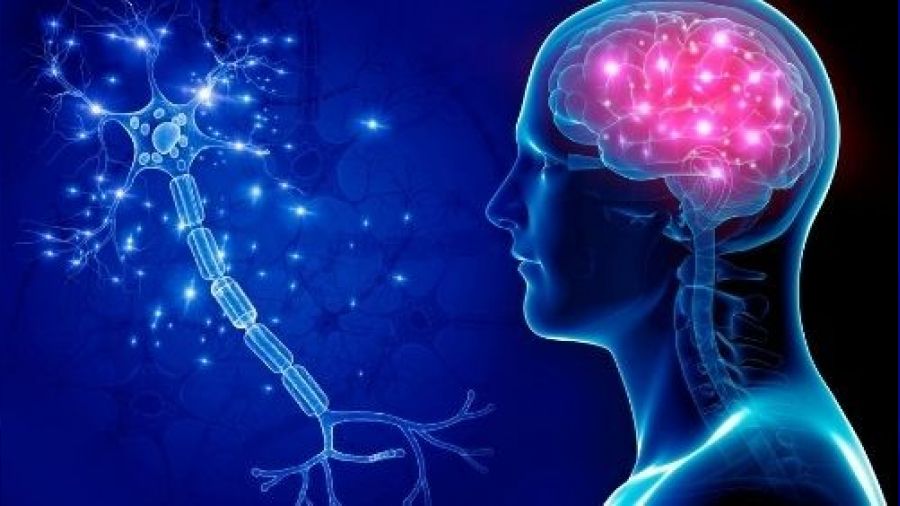 Epilepsi hastalığı nedir, nasıldır?