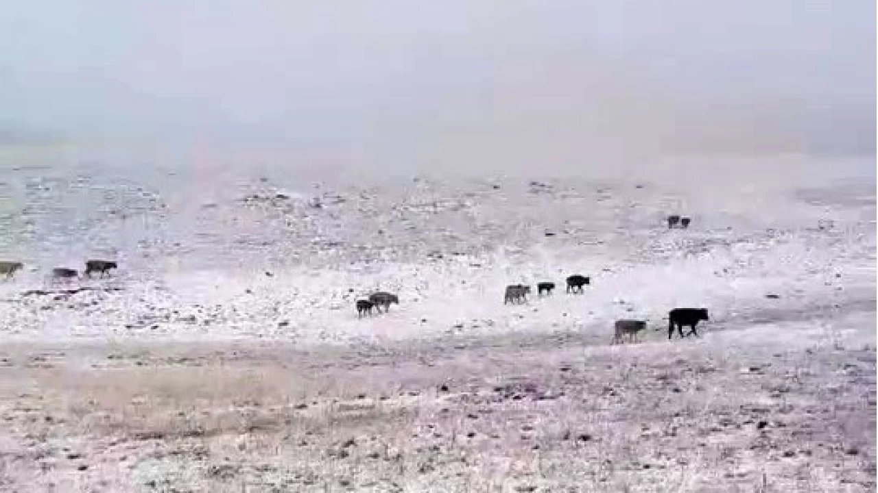 Erzurum'a mevsimin ilk kar� ya�d�