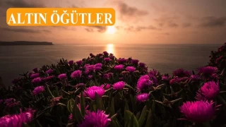 ‘Ey Müslümanlar, müjdeler olsun’