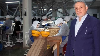 Fındıkta rekolte tartışması