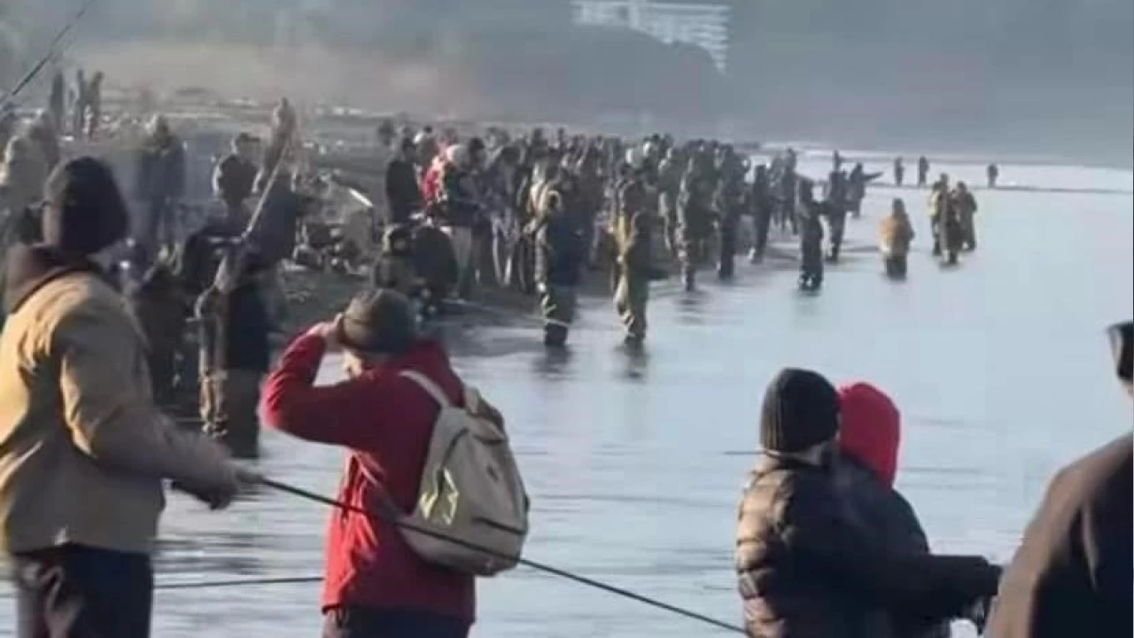 'Firari T�rk somonlar�' G�rc�ler'in ortas�na tak�ld�