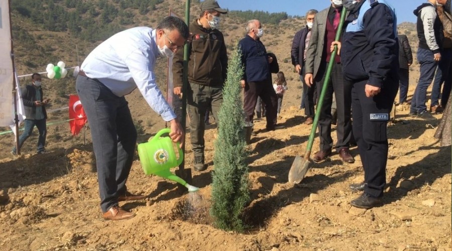 Gelecek için fidan diktiler