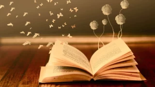 Gen Bir Ky Hekimi: aylak bir doktorun taradaki mcadelesi 