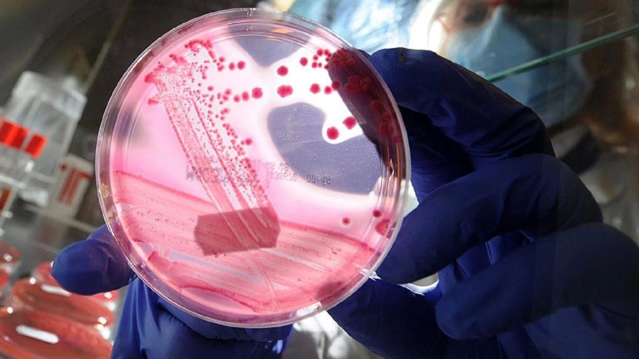 Genetik m�hendisli�i bilimin s�n�rlar�n� zorluyor