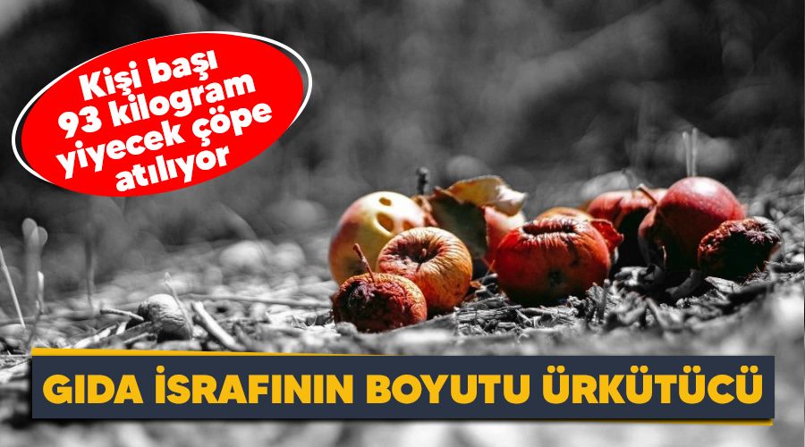 G�da israf�n�n boyutu �rk�t�c� 