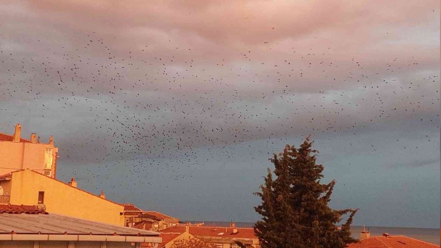 G�ky�z�nde karga istilas�