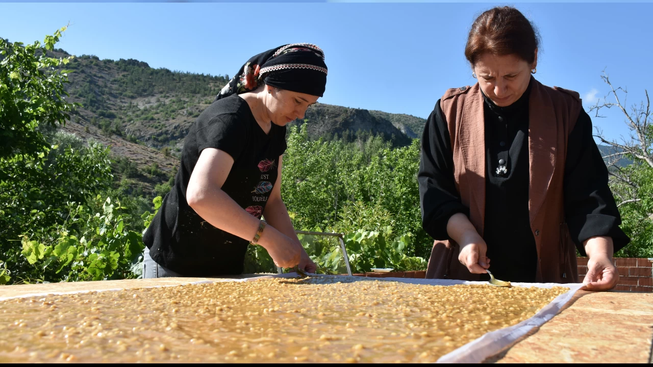 G�m��hane'de pestil i�in yo�un mesai