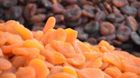Güneydoğu'dan 94 ülkeye kuru meyve ihracatı