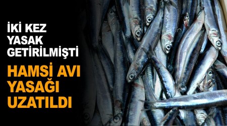 Hamsi avı yasağı 7 Şubat'a kadar uzatıldı