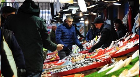 Hamsi Gney Marmara'da ortaya kt